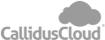 CallidusCloud